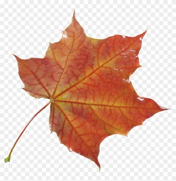 Autumn Png Leaf - Осенние Листья Картинки