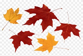 Autumn Png Leaf - Autumn Leaves Png