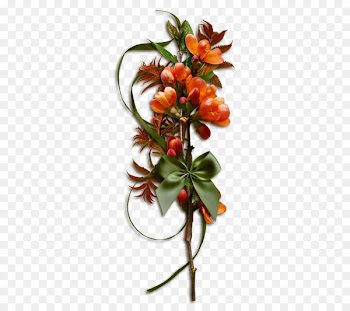 Autumn Portable Network Graphics Image Borders and Frames Flower - reflet frame 