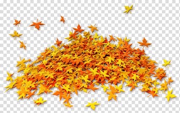 Autumn Portable Network Graphics Painting, autumn transparent background PNG clipart
