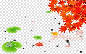 Autumn Poster, Maple Leaf transparent background PNG clipart