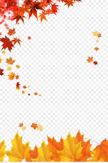 Autumn Poster Zarrin, Yazd - Maple leaves 