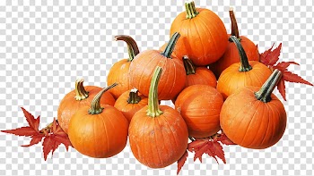 Autumn, pumpkin lot transparent background PNG clipart