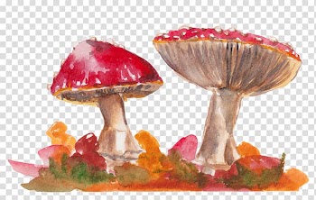 Autumn Pumpkin pie Watercolor painting , autumn transparent background PNG clipart