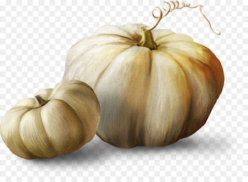 Autumn Pumpkin u042fu043du0434u0435u043au0441.u0424u043eu0442u043au0438 Clip art - White pumpkin 