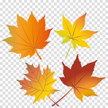Autumn , Red leaf illustration., others transparent background PNG clipart