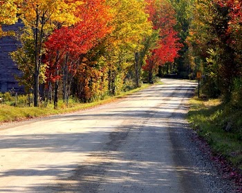 autumn_road2.jpg
