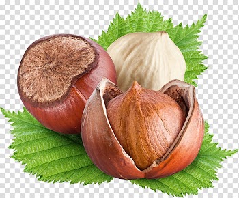 Autumn, round brown fruit transparent background PNG clipart