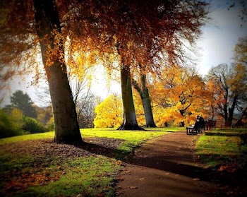 autumn_scene2.jpg