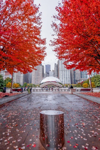 Autumn Season