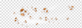 Autumn Season , autumn transparent background PNG clipart