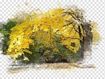 Autumn Season Desktop , autumn transparent background PNG clipart