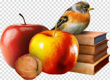 Autumn Season France Foreverfall, christmas fruit transparent background PNG clipart
