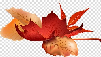 Autumn Season Graphics Design, autumn transparent background PNG clipart