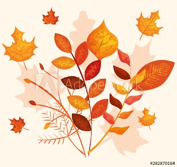 autumn season with branches plants and leaves