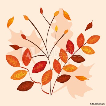autumn season with leaves and nature branches