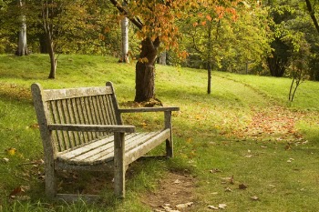 Autumn_Seat_01.jpg