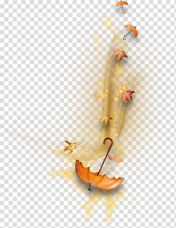 Autumn Shadow , umbrella transparent background PNG clipart