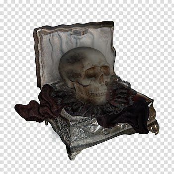 Autumn, skull illustration transparent background PNG clipart