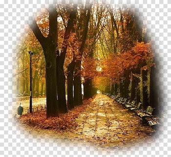 Autumn Song Summer Winter September, autumn transparent background PNG clipart