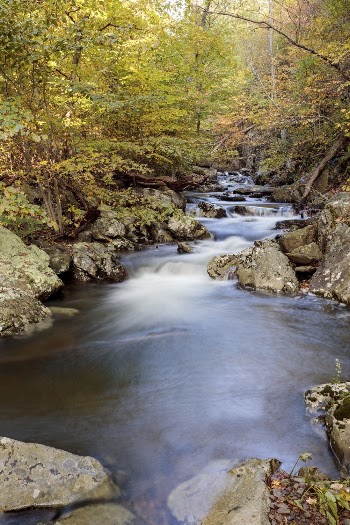 Autumn stream forest, nature background. | Free Photo - rawpixel