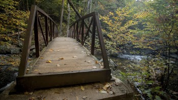 Autumn stream forest, nature background. | Free Photo - rawpixel