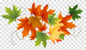 Autumn swatches, brown and green maple leaves illustration transparent background PNG clipart
