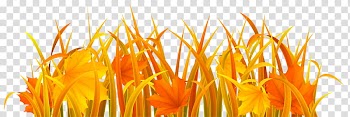 Autumn swatches, orange flowers and leaves transparent background PNG clipart