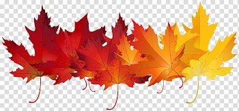 Autumn swatches, red and yellow maple leaves illustration transparent background PNG clipart