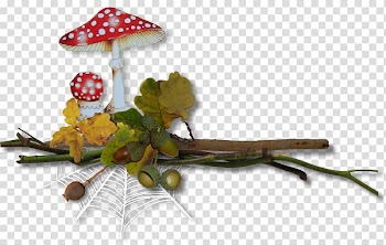 Autumn Text 0 1 , mushrooms transparent background PNG clipart