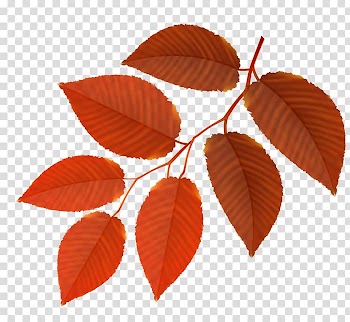 , autumn transparent background PNG clipart