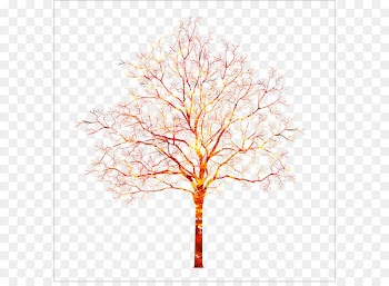 Autumn Tree 