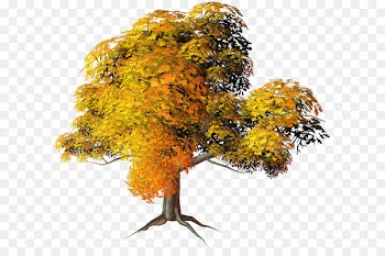Autumn Tree Clip art - Large Yellow Fall Tree PNG Clipart 