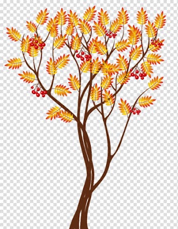 Autumn Tree Desktop , autumn transparent background PNG clipart