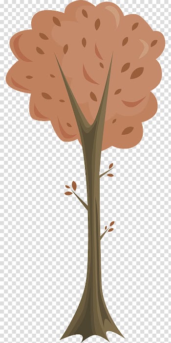 Autumn Tree, fir-tree transparent background PNG clipart