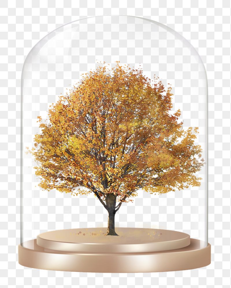 Autumn tree png glass dome | Free PNG - rawpixel