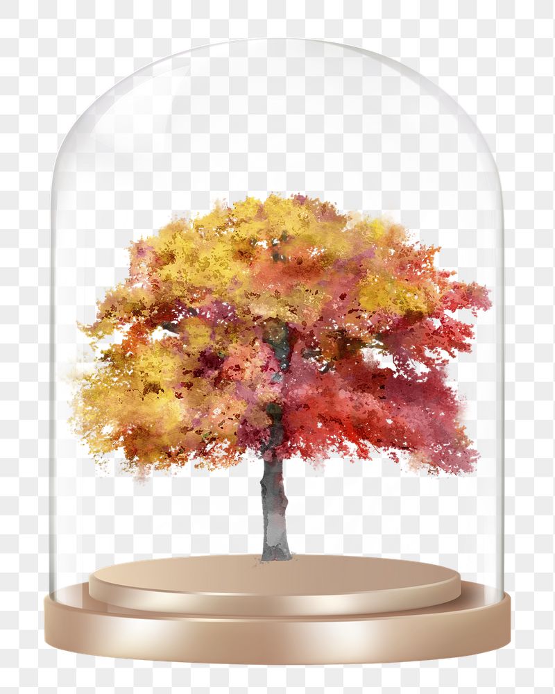 Autumn tree png glass dome | Free PNG - rawpixel