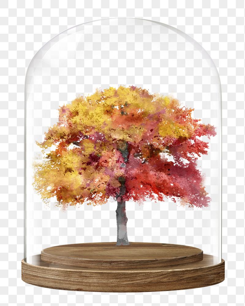 Autumn tree png glass dome | Free PNG - rawpixel