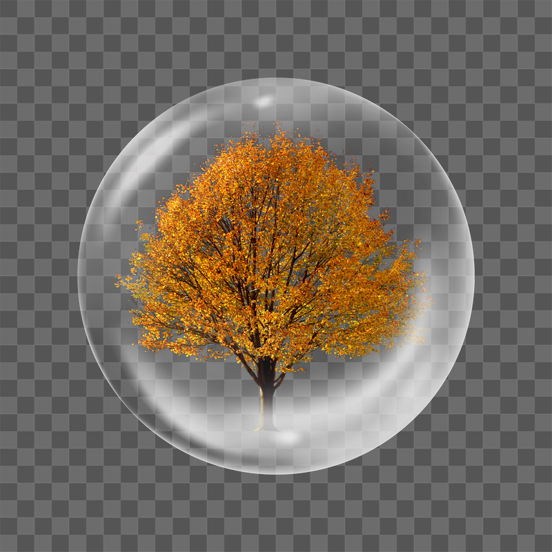 Autumn tree png sticker, bubble | Free PNG - rawpixel
