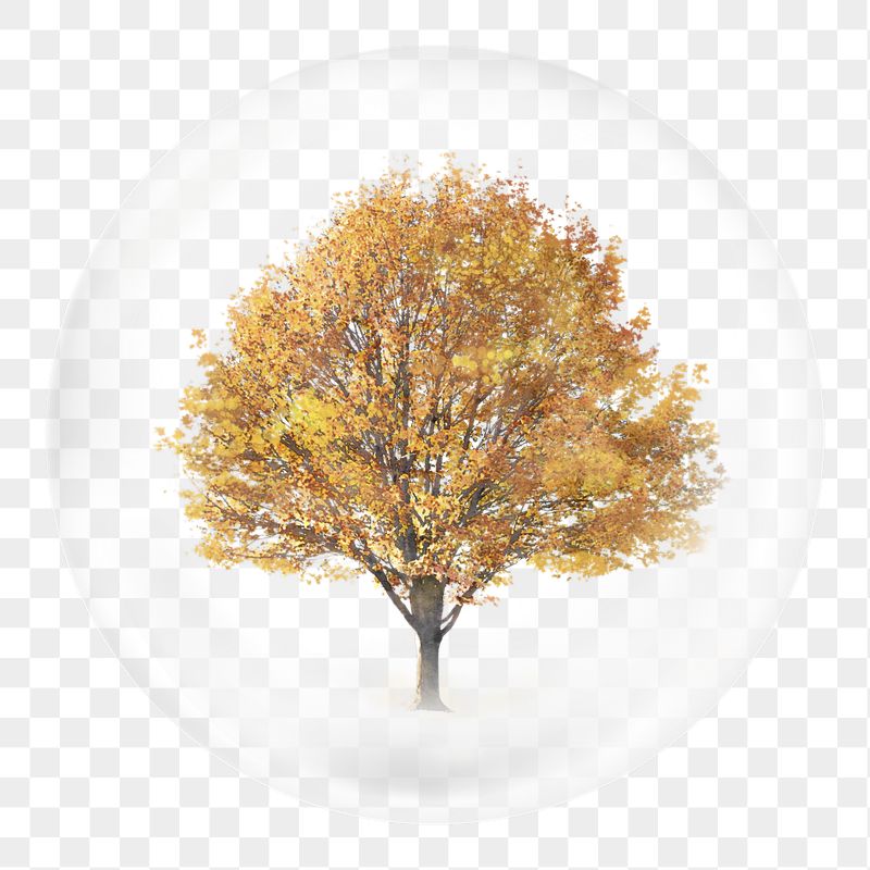 Autumn tree png sticker, watercolor | Free PNG - rawpixel