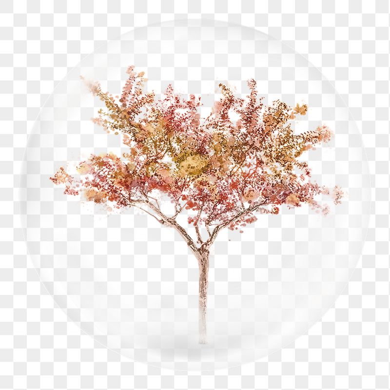 Autumn tree png sticker, watercolor | Free PNG - rawpixel