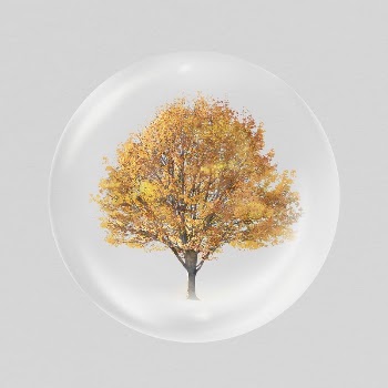 Autumn tree sticker, watercolor nature | Free PSD - rawpixel