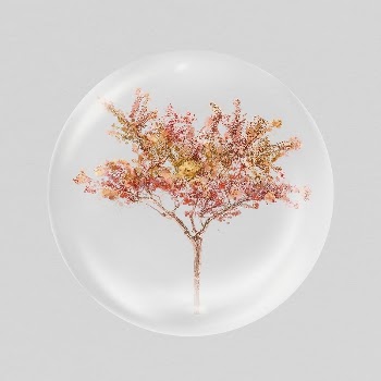 Autumn tree sticker, watercolor nature | Free PSD - rawpixel