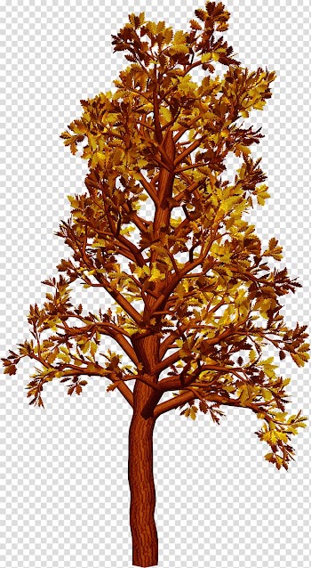 Autumn tree transparent background PNG clipart