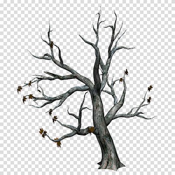 Autumn trees transparent background PNG clipart