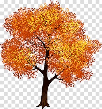 Autumn trees transparent background PNG clipart