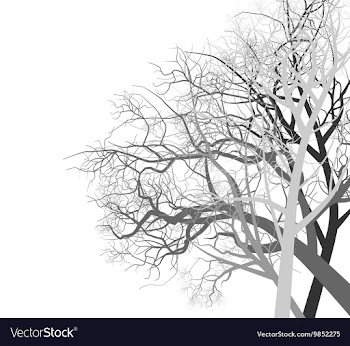 Autumn trees vector image