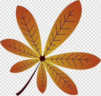 Autumn Vegetable Insect, Leef transparent background PNG clipart