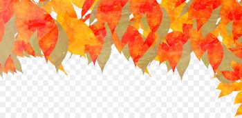 Autumn Watercolor painting Deciduous Illustration - leaf 
