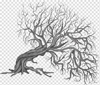 Autumn Winter trees, leafless tree illustration transparent background PNG clipart